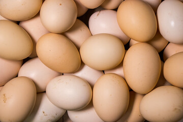 Eggs, Chicken eggs. Many fresh eggs.