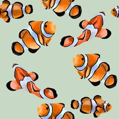 Watercolor seamless pattern illustration of an orange clown fish. Salt water exotic amphiprion fish isolated on background.