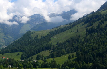 Obraz premium alpes ...en juin