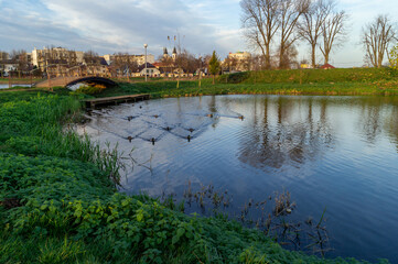 Fototapeta premium the river in the park with ducks