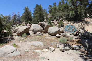stones in the forest