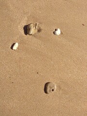 Fototapeta na wymiar Sea polished pebbles on the sand. Stones on the sea coast