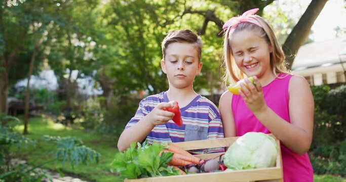 Smiling caucasian brother and sister standing in garden holding box of vegetables, playing with them
