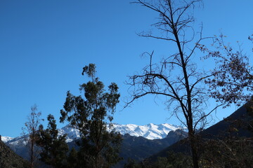 Paisaje con montañas, arboles y nieve