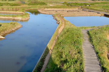 ancient seawater ponds  for oyster farming and footpath in wooden in meadow