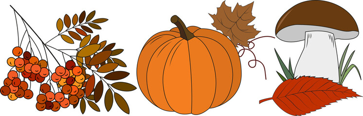 autumn mushroom pumpkin fallen leaves mountain ash vector background