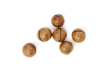 Roasted macadamia nuts in shell isolated on white background. Unshelled macadamia nuts, view from above