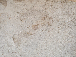 Wasted concrete wall by time.