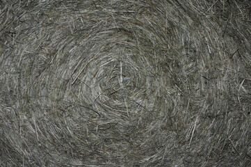 Round hay bail on farm