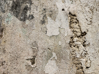 Wasted concrete wall by time.