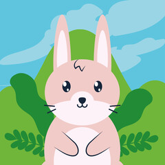 rabbit animal character