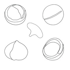 Fototapeta premium One line hand draw set of cucumbers. Black line, vector illustration isolated on white background. 
