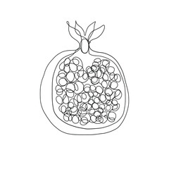 Vector illustration of pomegranate in one line endless style. Isolated on white background. 