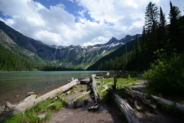 Landscape view of a lake with logs at Glacier National Park in Montana