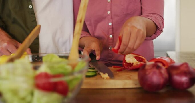 Midsection of diverse couple preparing food together in kitchen, chopping vegetables for salad