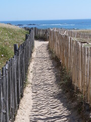 Fototapeta na wymiar A small path on the Atlantic coast. Batz-sur-mer, France, 15th june 2021.