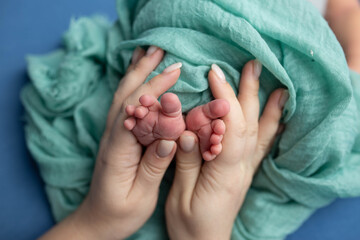 the legs of the newborn in the arms of my mother. legs in hands on blue background