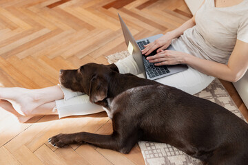 caucasian woman working at home on laptop sitting on floor, home office dog sleeping next to woman,...