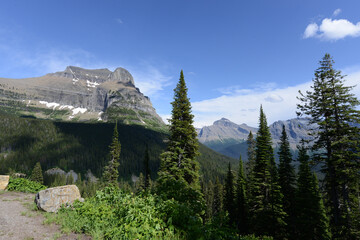 Obraz premium Scenic view of mountains and trees at Glacier National Park in Montana on a sunny day