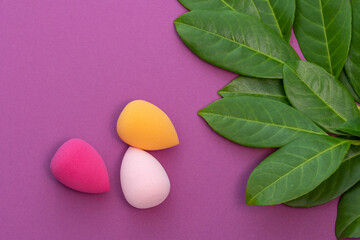 three multicolored beauty blender and a sprig of juicy greenery on a purple background