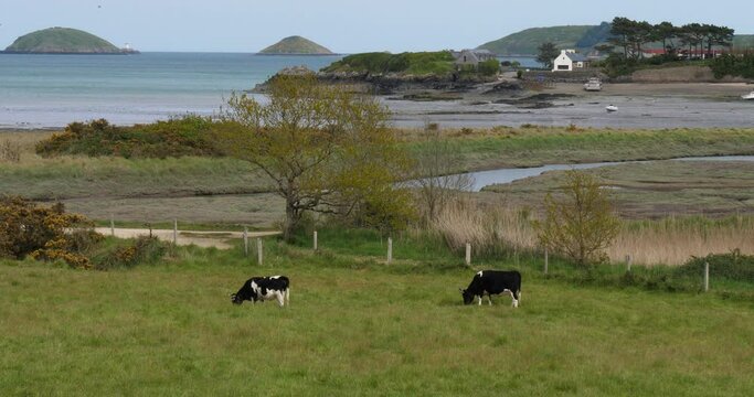 The Bay of Paimpol, Cotes d Armor department, Brittany in France