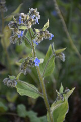 Flowers from Margreet's 