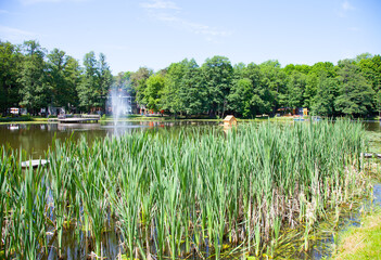 View of the pond in Zelenogradsk. Kaliningrad oblast, Russia.
