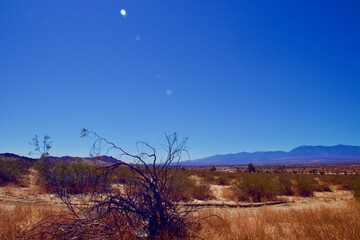 Obraz premium Sunny Desert Landscape in Lake Los Angeles