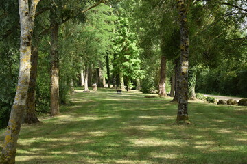 Terrain de pique nique