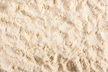 Organic dried onion powder - Allium cepa