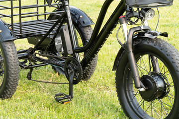 Electric trike or bicycle in the park in sunny summer day. Unfiltered, with natural lighting. E...