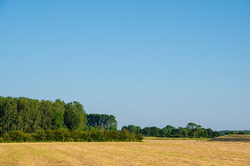 Fototapeta na wymiar Freshly mowed grass on the farmland in the Noord Limburg region, Maasduinen, The Netherlands