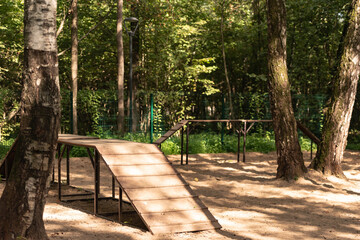 Dog playground in the forest