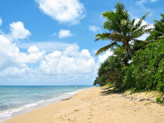 Beach in Paradise, Ha'afeva, Tonga.