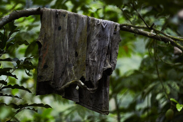 A disused plumb shirt lying in the middle of the forest