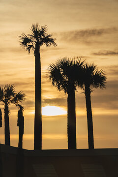 sunset at the beach