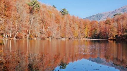 autumn landscape in bolu region, turkey
