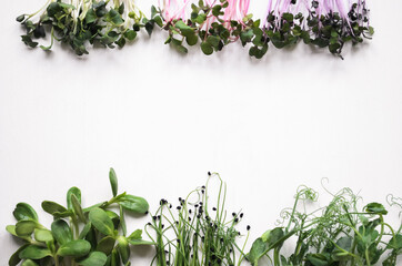 Assortment of micro greens sprouts. Mixed sprouts sunflower, onion, radishes, mustard, arugula, pea on white background, copy space.Healthy eating concept. Top view.