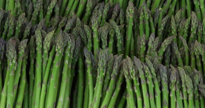 Asparagus,also known as  garden asparagus A bundle of cultivated asparagus
