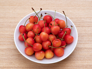 さくらんぼ　佐藤錦
