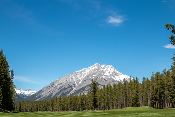 Fototapeta na wymiar Mountain golf course