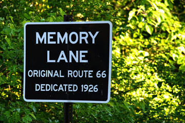 Closeup shot of Memory Lane road sign on the bushes under sunlight