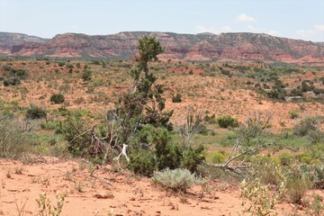 Views of the Beautiful Caprock Canyons and Surrounding Cliffs in Caprock Canyon State Park Near Quitaque, Texas