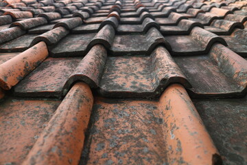 tiles with dark red clay. Commonly found in rural and urban areas