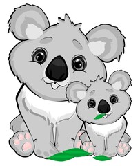 cutes koalas