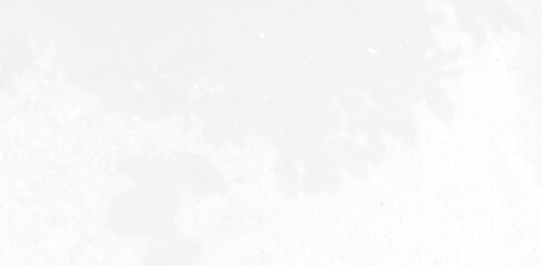 Abstract Shadow. blur background. gray leaves that reflect concrete walls on a white wall surface for blurred backgrounds and monochrome wallpapers.