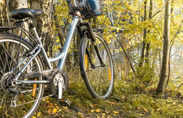 A walking bike stands near a tree in a park in early autumn afternoon.