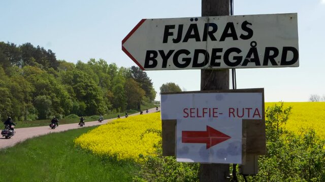 Bright Yellow Flowered Rapeseed Meadow Along Countryside Road with Motorcycle Club Driving on a Summers Day with Signpost - Selfie Ruta.