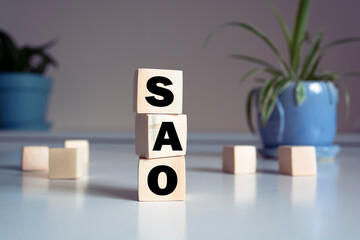 CAO - Chief Accounting Officer - text on wooden cubes, on wooden background