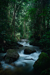 Obraz premium Huai Tong Lueang Waterfall at at Doi Inthanon National Park Chomthong ChiangMai Thailand. 
